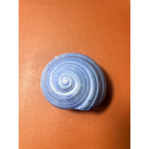 Vintage Ceramic Shell Trinket Box Blue Glazed with Floral Design Lid Coastal Dec - Picture 3 of 11